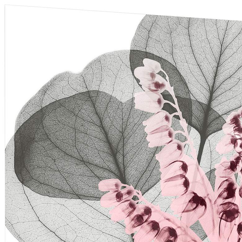 Image 3 Eucalyptus Bush 1 24" Square Tempered Glass Graphic Wall Art more views
