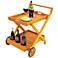 Eucalyptus Outdoor Serving Cart with Tray