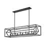 Euclid by Z-Lite Matte Black 10 Light Island Pendant