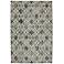 Euphoria 90274 Potterton Ash Gray Area Rug