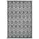 Euphoria 90646 Castine Willow Gray Area Rug