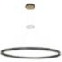 Eurofase Admiral 2 In. x 61.75 In. Integrated LED Chandelier in Black/Gold
