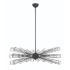 Eurofase Dendelio 10 Light Chandelier in Black