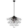Eurofase Dendelio Black Collection