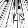 4_Eurofase Dendelio 53.50 In. x 53.50 In. Chandelier in Black more views