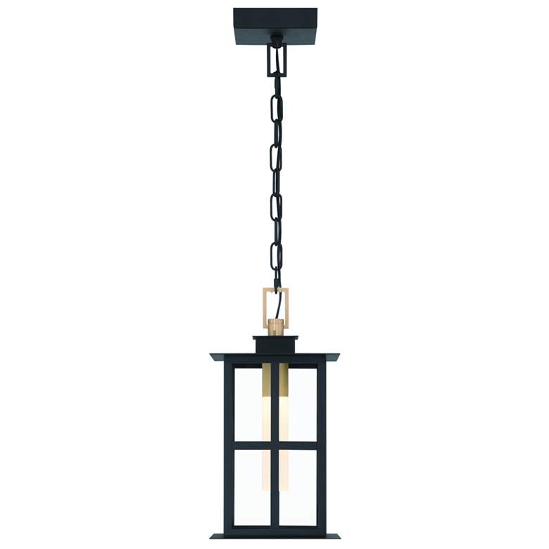 Image 1 Eurofase Greyson 16" LED Pendant Brass and Black