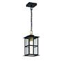 3_Eurofase Greyson 16" LED Pendant Brass and Black more views