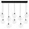 Eurofase Iissa, Chandelier, 10-Light, 47", Matte Black, Clear Glass