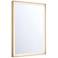 Eurofase Lenora Gold 28" x 36" Rectangular LED Light Wall Mirror