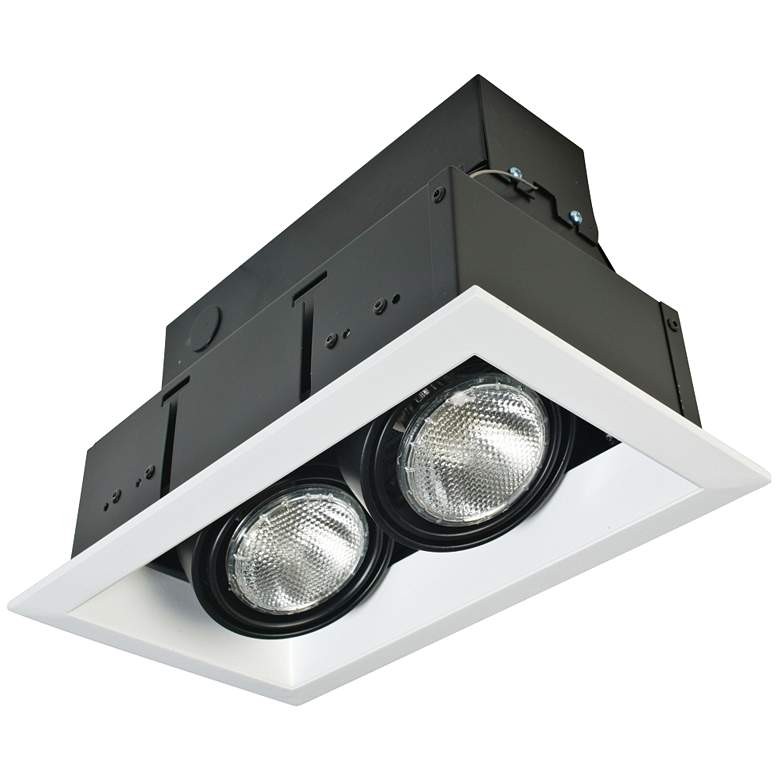 Image 1 Eurofase White/Black Double Par 20 Recessed Light