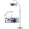 Europa Giclee Shade Arc Floor Lamp