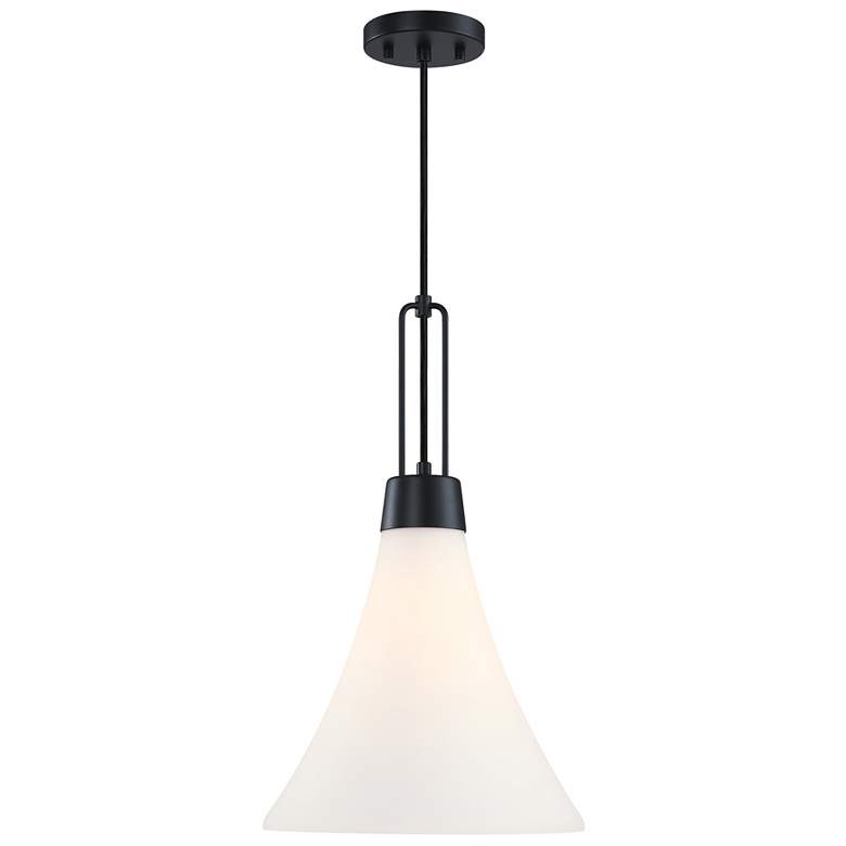 Image 1 Evergreen Oasis 60 Watt 1-Light Matte Black Down Pendant Light with Shade