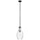 Everly Mini Pendant Black/Clear Glass