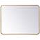 Evermore Brass 27" x 36" Rectangular Vanity Wall Mirror