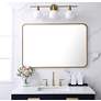 3_Evermore Brass 40" x 27" Rectangular Wall Mirror more views