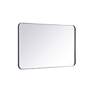 4_Evermore Silver 40" x 24" Rectangular Wall Mirror more views