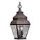 Exeter 19" High Bronze Outdoor Hanging Light