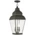 Exeter 25" High Black Outdoor Hanging Light