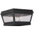 Exeter 8" Wide Charcoal Outdoor Ceiling Light