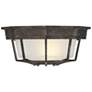 Exterior Collections 1-Light Outdoor Ceiling Light in Rustic Bronze