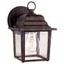 Exterior Collections 1-Light Outdoor Wall Lantern in Rustic Bronze