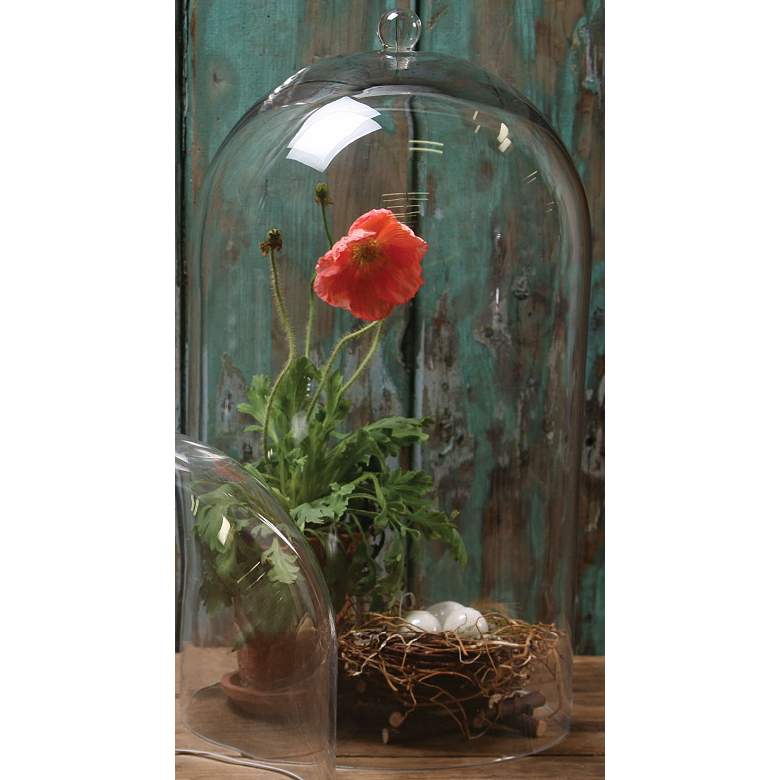 Image 1 Extra-Large 20 inch High Glass Dome