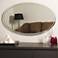 Extra Long Oval 39 1/4" x 23 1/2" Oversized Wall Mirror