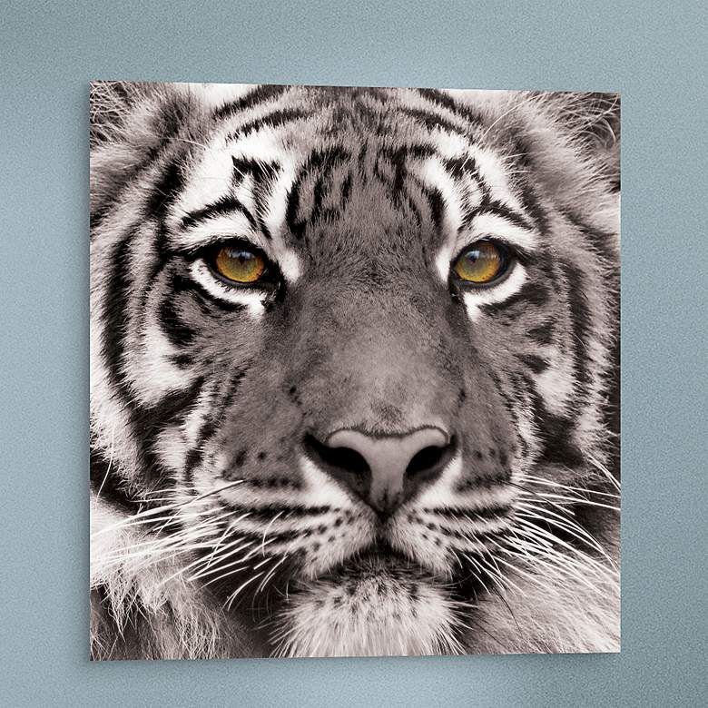 Image 2 Eye of the Tiger 38" Square Tempered Glass Graphic Wall Art