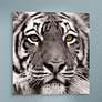 2_Eye of the Tiger 38" Square Tempered Glass Graphic Wall Art