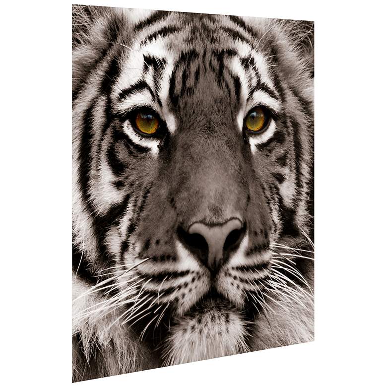 Image 5 Eye of the Tiger 38" Square Tempered Glass Graphic Wall Art more views