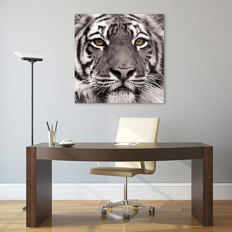 Image 6 Eye of the Tiger 38" Square Tempered Glass Graphic Wall Art more views
