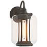 Fairwinds 12.4"H Coastal Dark Smoke Outdoor Sconce With Clear Glass Sh