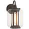 Fairwinds 12.4"H Coastal Dark Smoke Outdoor Sconce With Clear Glass Sh