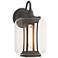 Fairwinds 12.4"H Coastal Natural Iron Outdoor Sconce With Clear Glass