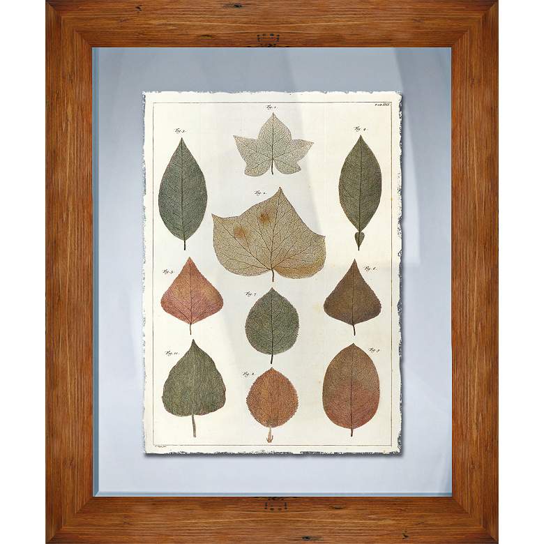 Image 1 Fall Leaves I 21 1/2 inch Framed Giclee Wall Art