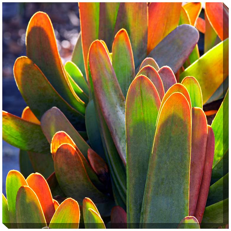 Image 1 Fan Aloe 24" Square All-Weather Indoor-Outdoor Wall Art