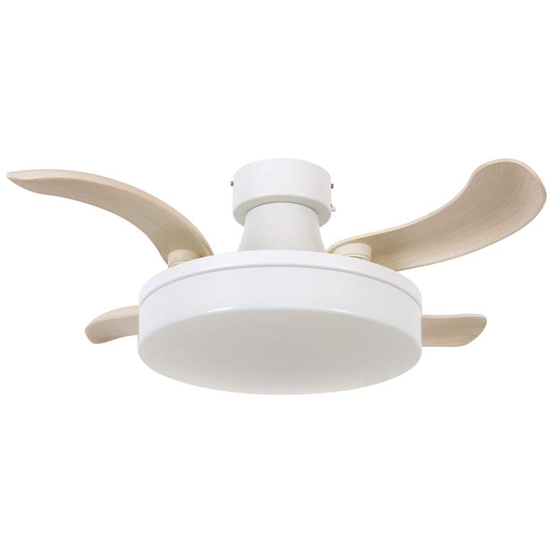 Fanaway Fanaway Orbit 36