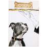 2_Fancy Bones 25 1/2" High Free Floating Glass Dog Graphic Wall Art