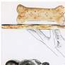3_Fancy Bones 25 1/2" High Free Floating Glass Dog Graphic Wall Art more views