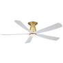 1_Fanimation Kute5 - 52 inch Flush - BS with MW Blades and LED LK