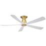 1_Fanimation Kute5 - 52 inch Flush - BS with MW Blades