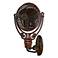 Fanimation Old Havana Rust Finish Plug-In Wall Fan