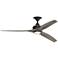 Fanimation Spitfire - 60 inch - BL with WE Blades and LED LK