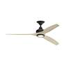 1_Fanimation Spitfire - 60 inch - BL with WW Blades and LED LK