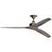 Fanimation Spitfire - 60 inch - BN with WE Blades
