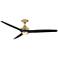 Fanimation Spitfire - 60 inch - BS with BL Blades and LED LK