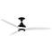 Fanimation Spitfire - 60 inch - DZ with WW Blades and LED LK