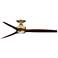 Fanimation Spitfire - 60 inch Flush - BS with WK Blades and LED LK