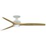 1_Fanimation Spitfire - 60 inch Flush - MW with N Blades and LED LK