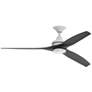 1_Fanimation Spitfire - 60 inch - MW with BL Blades and LED LK